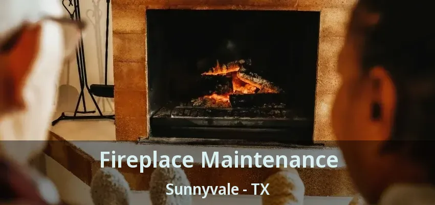 Fireplace Maintenance Sunnyvale - TX