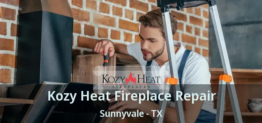 Kozy Heat Fireplace Repair Sunnyvale - TX