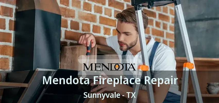 Mendota Fireplace Repair Sunnyvale - TX