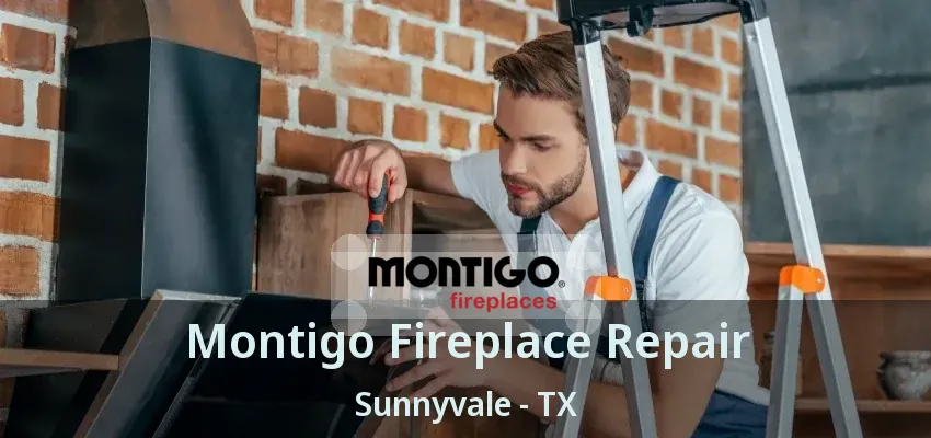 Montigo Fireplace Repair Sunnyvale - TX