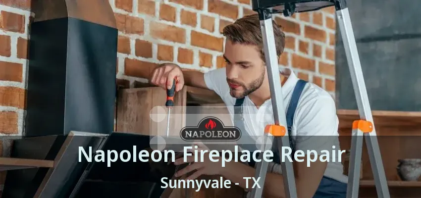 Napoleon Fireplace Repair Sunnyvale - TX