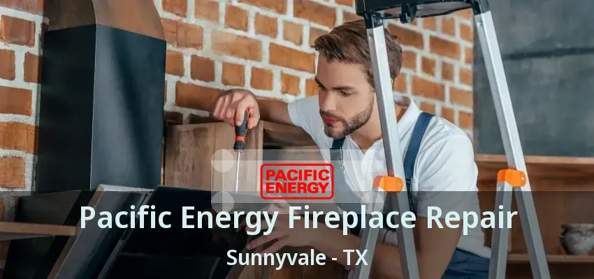 Pacific Energy Fireplace Repair Sunnyvale - TX