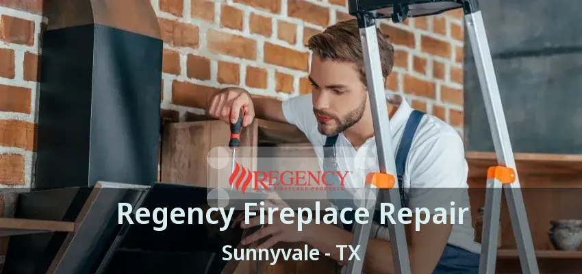 Regency Fireplace Repair Sunnyvale - TX