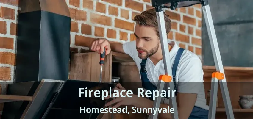 Fireplace Repair Homestead, Sunnyvale - TX