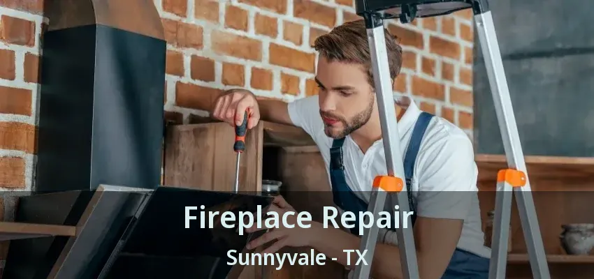 Fireplace Repair Sunnyvale - TX