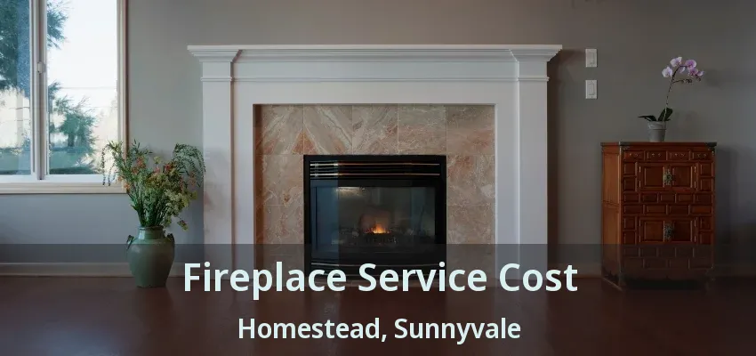 Fireplace Service Cost Homestead, Sunnyvale - TX