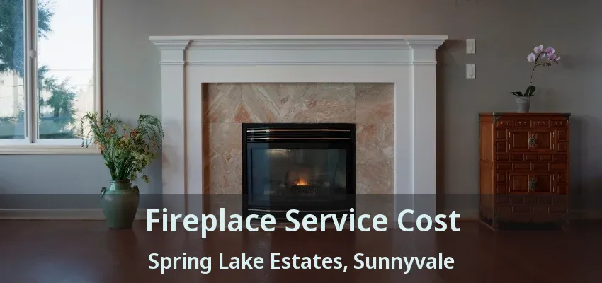 Fireplace Service Cost Spring Lake Estates, Sunnyvale - TX