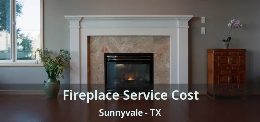 Fireplace Service Cost Sunnyvale - TX