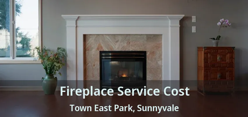 Fireplace Service Cost Town East Park, Sunnyvale - TX