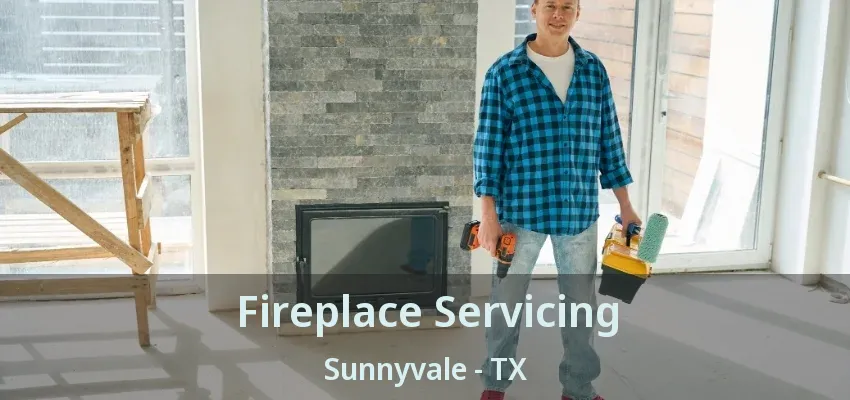 Fireplace Servicing Sunnyvale - TX