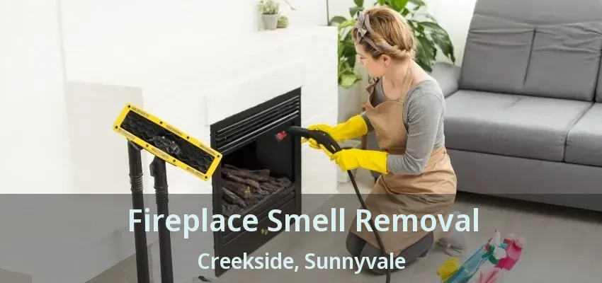 Fireplace Smell Removal Creekside, Sunnyvale - TX