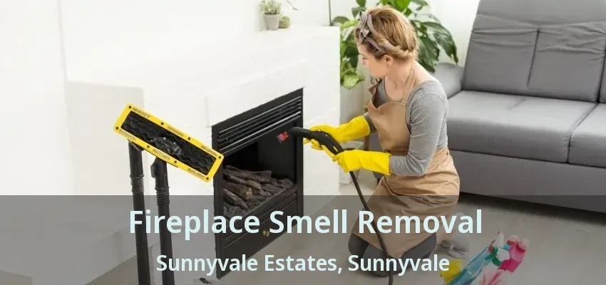 Fireplace Smell Removal Sunnyvale Estates, Sunnyvale - TX