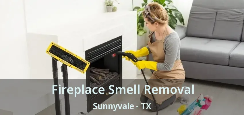 Fireplace Smell Removal Sunnyvale - TX