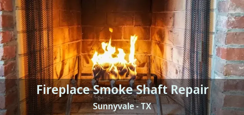 Fireplace Smoke Shaft Repair Sunnyvale - TX