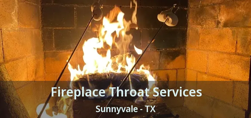 Fireplace Throat Services Sunnyvale - TX