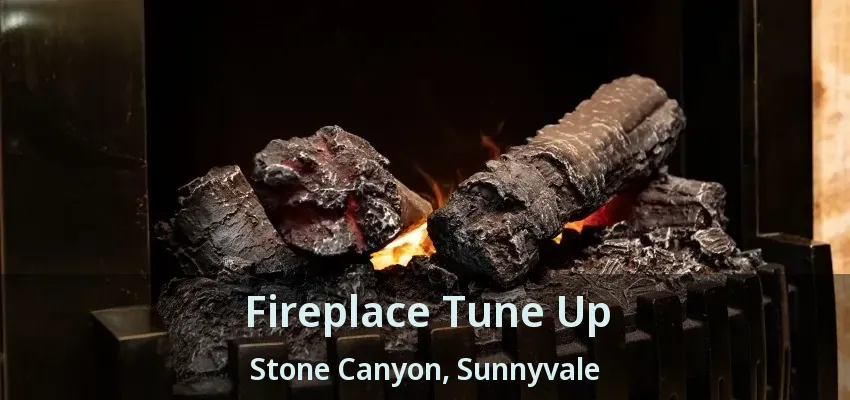 Fireplace Tune Up Stone Canyon, Sunnyvale - TX
