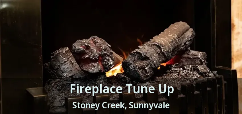Fireplace Tune Up Stoney Creek, Sunnyvale - TX