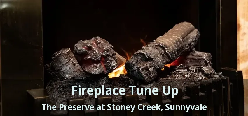 Fireplace Tune Up The Preserve at Stoney Creek, Sunnyvale - TX