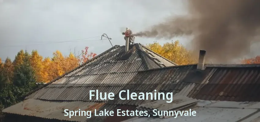 Flue Cleaning Spring Lake Estates, Sunnyvale - TX