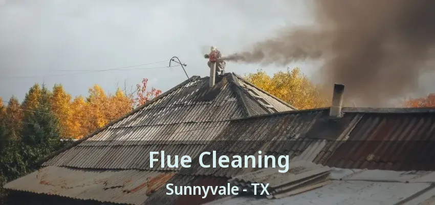 Flue Cleaning Sunnyvale - TX