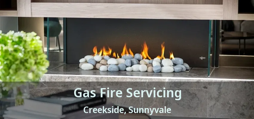 Gas Fire Servicing Creekside, Sunnyvale - TX