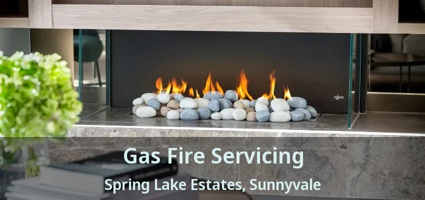 Gas Fire Servicing Spring Lake Estates, Sunnyvale - TX