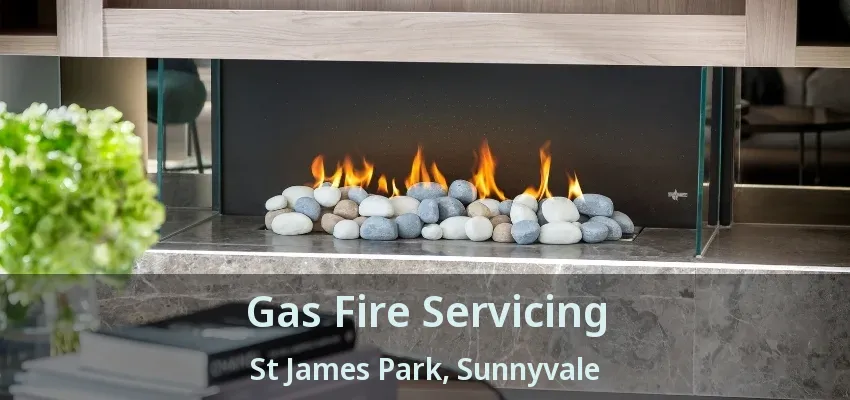 Gas Fire Servicing St James Park, Sunnyvale - TX
