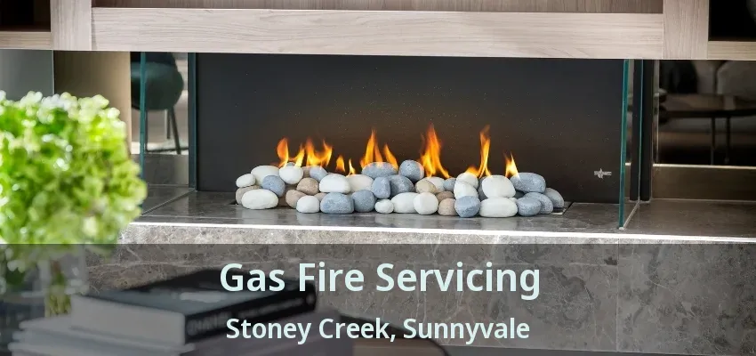 Gas Fire Servicing Stoney Creek, Sunnyvale - TX