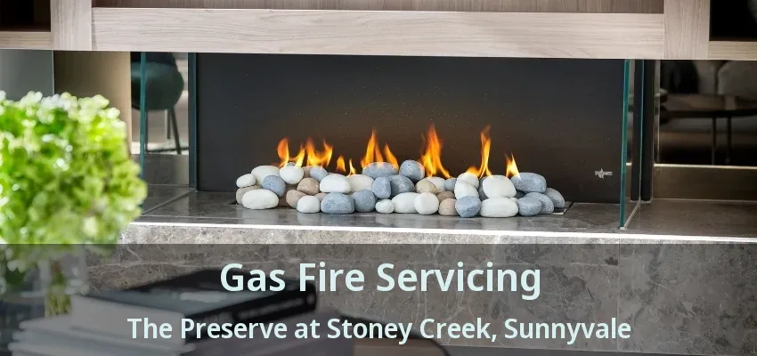 Gas Fire Servicing The Preserve at Stoney Creek, Sunnyvale - TX