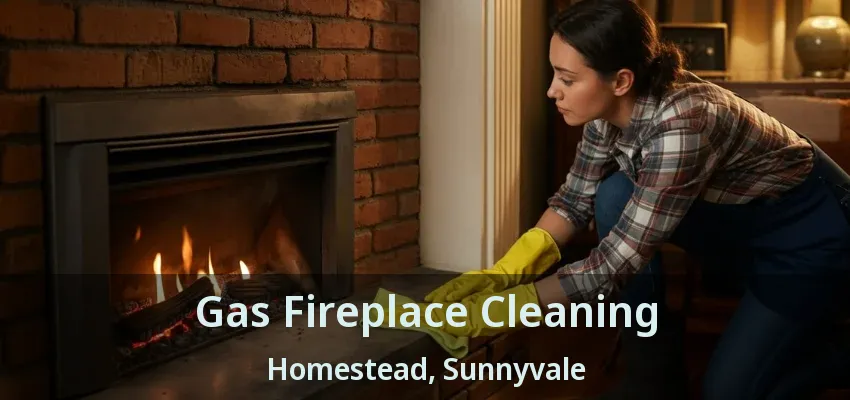 Gas Fireplace Cleaning Homestead, Sunnyvale - TX