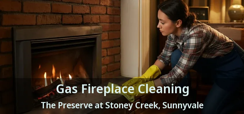 Gas Fireplace Cleaning The Preserve at Stoney Creek, Sunnyvale - TX