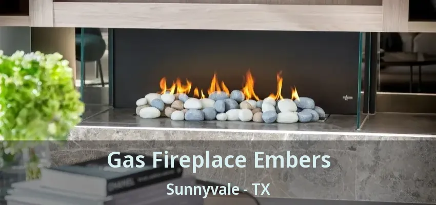 Gas Fireplace Embers Sunnyvale - TX