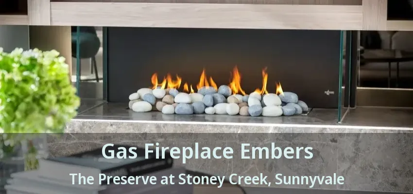 Gas Fireplace Embers The Preserve at Stoney Creek, Sunnyvale - TX