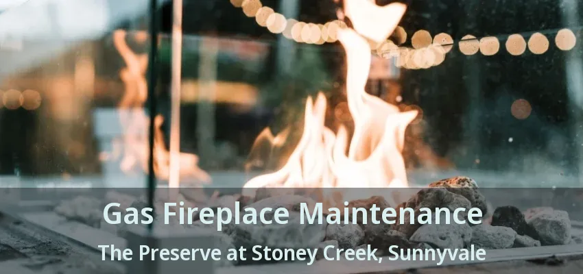 Gas Fireplace Maintenance The Preserve at Stoney Creek, Sunnyvale - TX