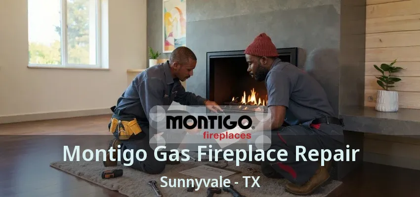 Montigo Gas Fireplace Repair Sunnyvale - TX