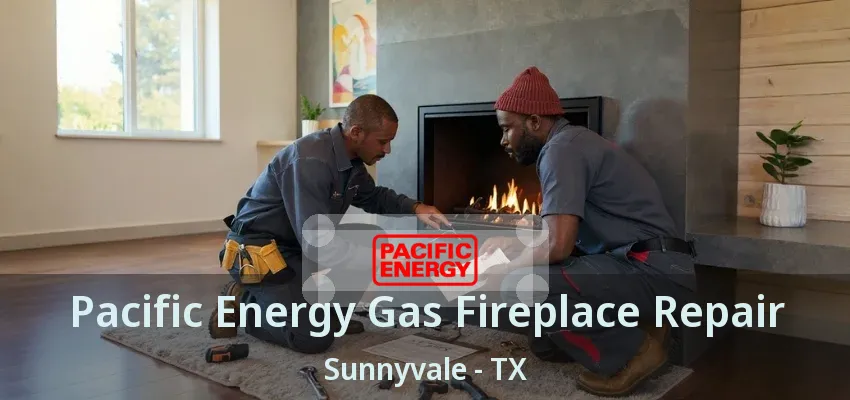 Pacific Energy Gas Fireplace Repair Sunnyvale - TX