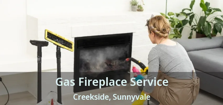 Gas Fireplace Service Creekside, Sunnyvale - TX