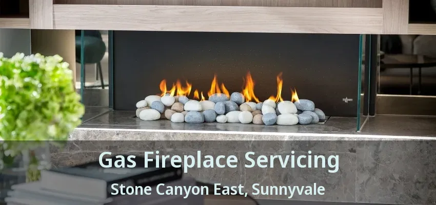 Gas Fireplace Servicing Stone Canyon East, Sunnyvale - TX
