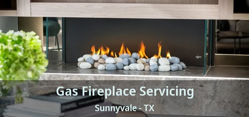 Gas Fireplace Servicing Sunnyvale - TX