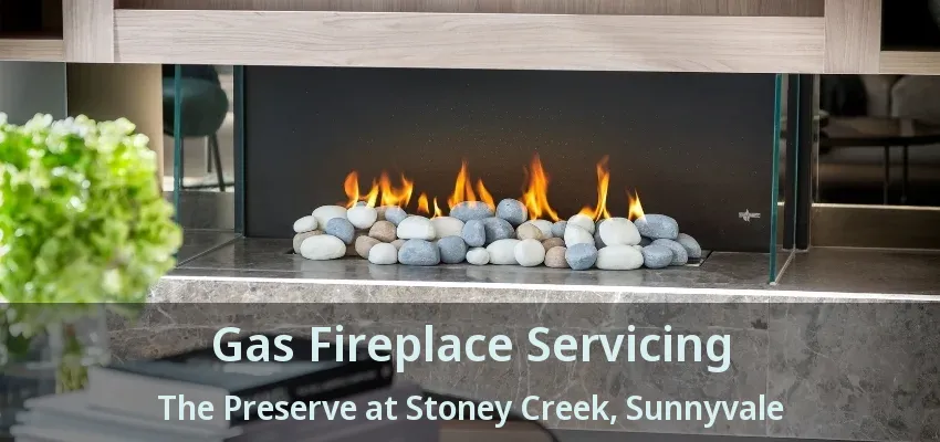 Gas Fireplace Servicing The Preserve at Stoney Creek, Sunnyvale - TX