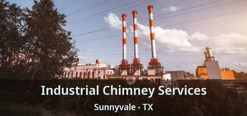 Industrial Chimney Services Sunnyvale - TX