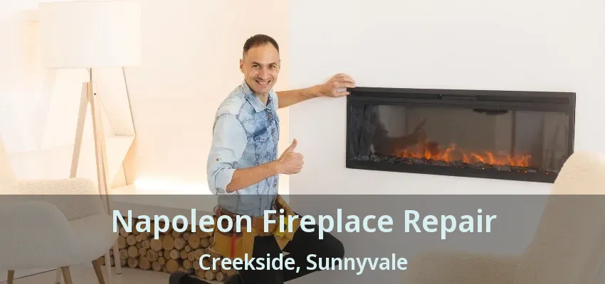 Napoleon Fireplace Repair Creekside, Sunnyvale - TX