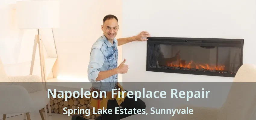Napoleon Fireplace Repair Spring Lake Estates, Sunnyvale - TX