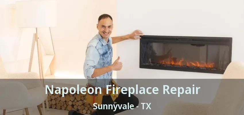 Napoleon Fireplace Repair Sunnyvale - TX