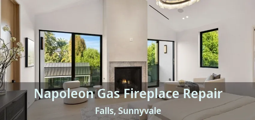 Napoleon Gas Fireplace Repair Falls, Sunnyvale - TX