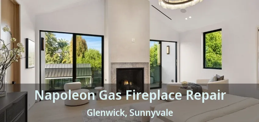 Napoleon Gas Fireplace Repair Glenwick, Sunnyvale - TX