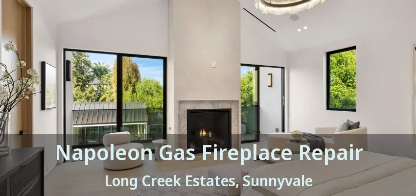 Napoleon Gas Fireplace Repair Long Creek Estates, Sunnyvale - TX