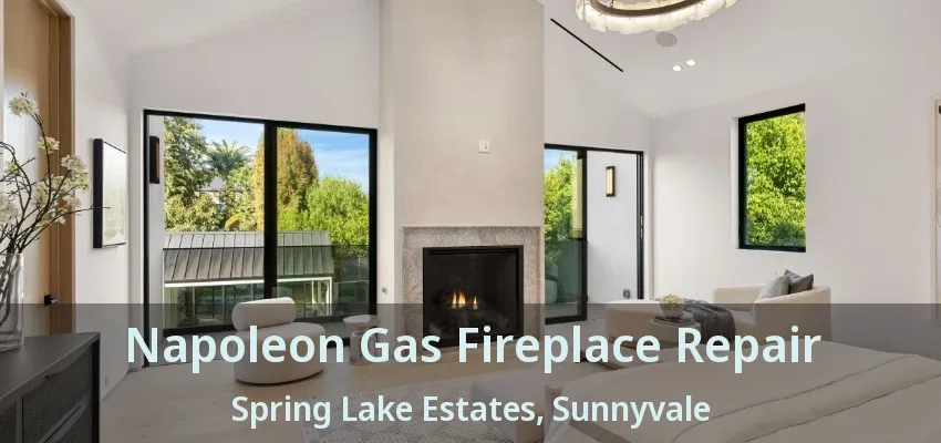 Napoleon Gas Fireplace Repair Spring Lake Estates, Sunnyvale - TX