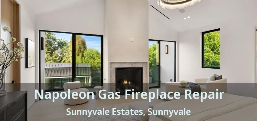 Napoleon Gas Fireplace Repair Sunnyvale Estates, Sunnyvale - TX