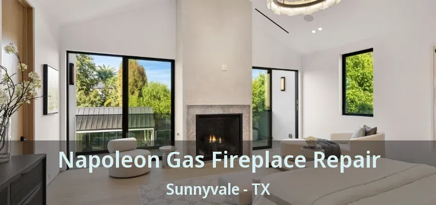 Napoleon Gas Fireplace Repair Sunnyvale - TX